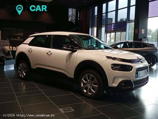 Citroën C4 Cactus  BlueHDi 74KW (100CV) S&S Business - Sevilla