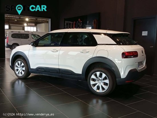 Citroën C4 Cactus  BlueHDi 74KW (100CV) S&S Business - Sevilla