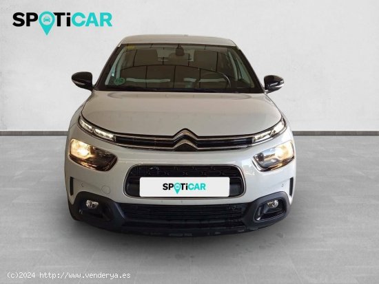 Citroën C4 Cactus  PureTech 81KW (110CV) S&S EAT6 Feel - Sevilla