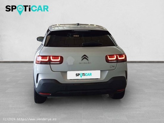 Citroën C4 Cactus  PureTech 81KW (110CV) S&S EAT6 Feel - Sevilla