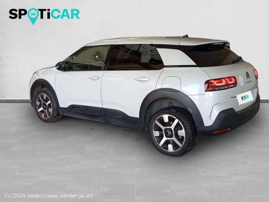 Citroën C4 Cactus  PureTech 81KW (110CV) S&S EAT6 Feel - Sevilla