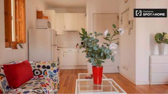 Apartamento de 1 dormitorio en alquiler en Puerta del Ángel, Madrid - MADRID