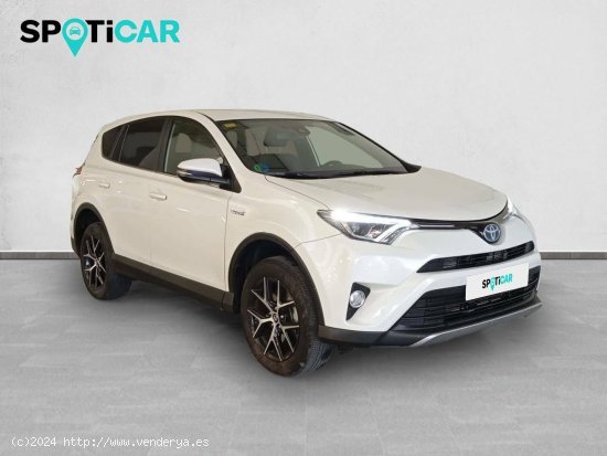 Toyota Rav4  2.5l hybrid 2WD Executive - Sevilla