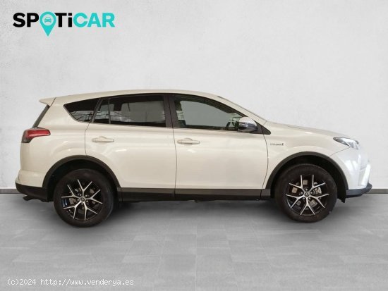 Toyota Rav4  2.5l hybrid 2WD Executive - Sevilla