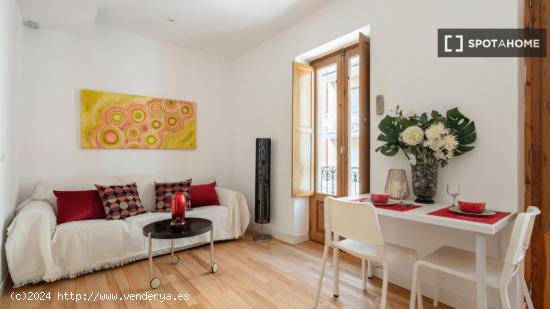 Apartamento de 1 dormitorio en alquiler en Puerta del Ángel, Madrid - MADRID