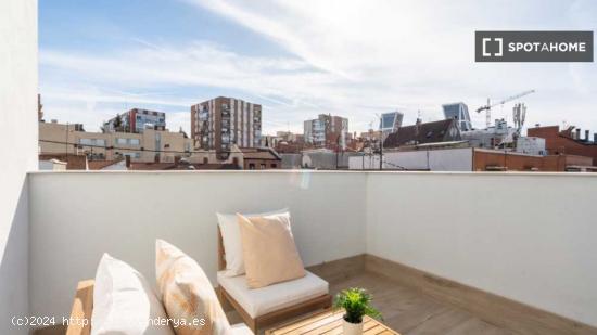 Habitación individual soleada con baño privado y con terraza - MADRID