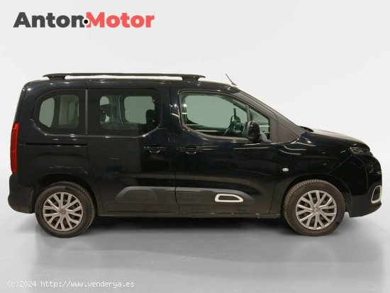 Citroën Berlingo  Talla M BlueHDi 100 Feel - VITORIA