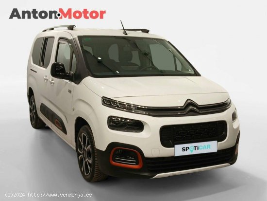 Citroën Berlingo  Talla XL BlueHDi 130 S&S 6v Shine - VITORIA