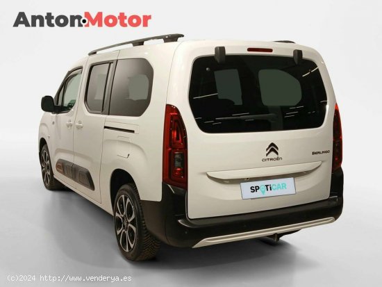 Citroën Berlingo  Talla XL BlueHDi 130 S&S 6v Shine - VITORIA