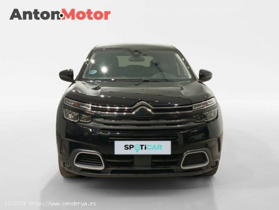 Citroën C5 Aircross  BlueHdi 96kW (130CV) S&S EAT8 Feel - VITORIA