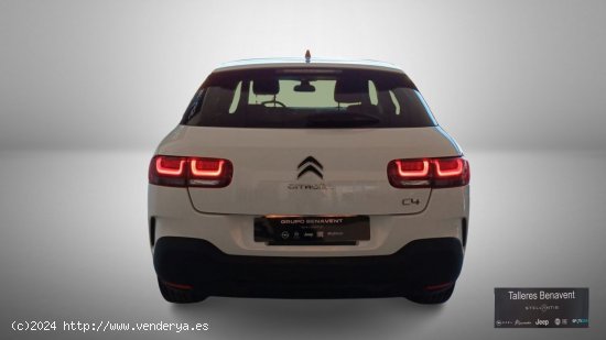 Citroën C3 Aircross  PureTech 81kW (110CV) S&S 6v Live - Quintanar De La Orden