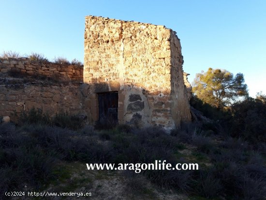 Finca en venta en Fabara (Zaragoza)