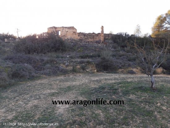 Finca en venta en Fabara (Zaragoza)