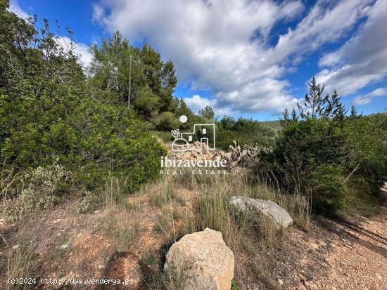 Parcela en venta en Sant Joan de Labritja (Baleares)