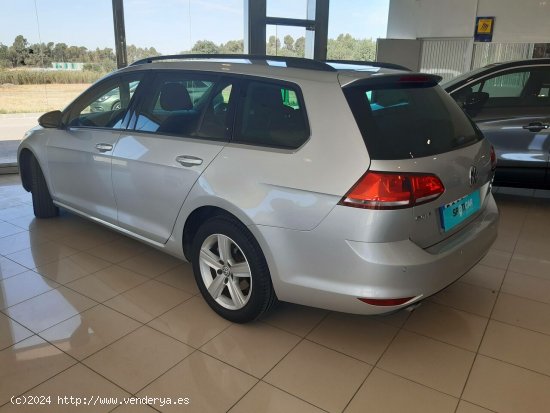 Volkswagen Golf   1.6 TDI 85kW (115CV) Variant Advance - Manresa