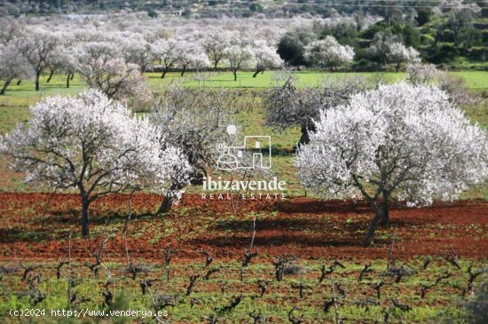 Parcela en venta en Sant Joan de Labritja (Baleares)