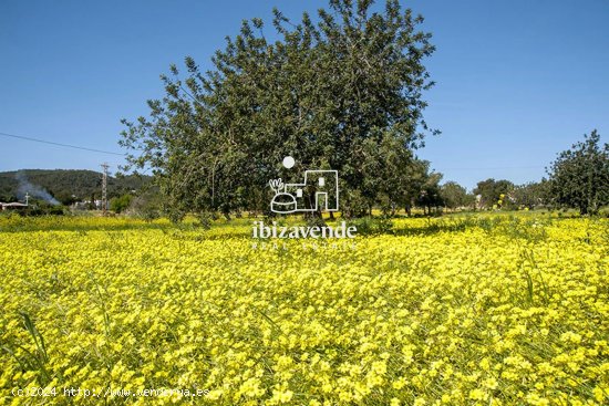 Parcela en venta en Sant Joan de Labritja (Baleares)