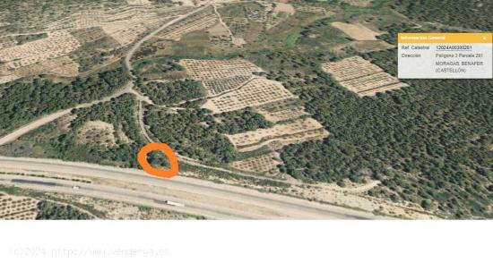  FINCA EN BENAFER (CASTELLON) EN VENTA - CASTELLON 