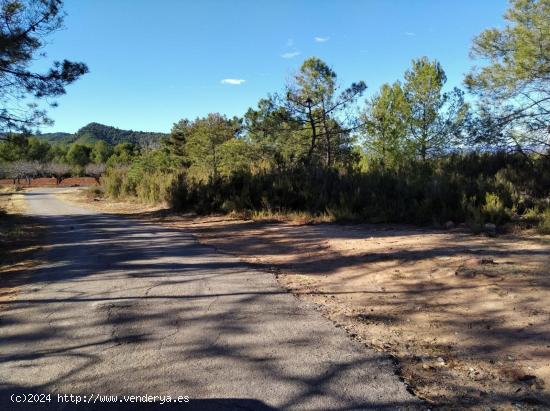  FINCA RUSTICA EN LA POBLA TORNESA - CASTELLON 