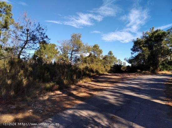 FINCA RUSTICA EN LA POBLA TORNESA - CASTELLON