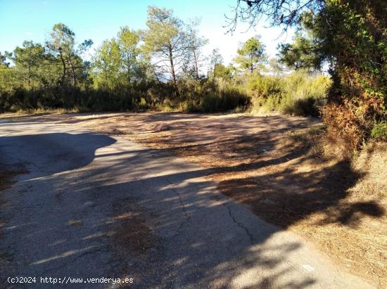 FINCA RUSTICA EN LA POBLA TORNESA - CASTELLON