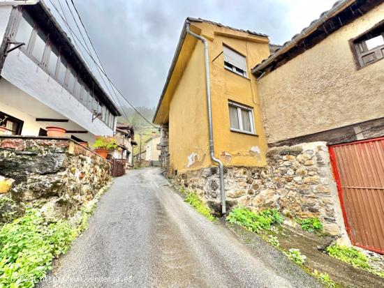 CASA DE PIEDRA CON CUADRA EN FELECHOSA - ASTURIAS