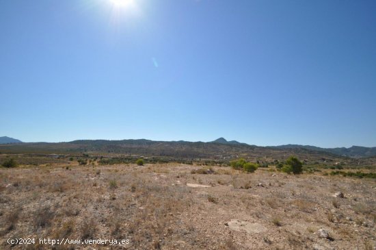 Solar en venta en Abanilla (Murcia)