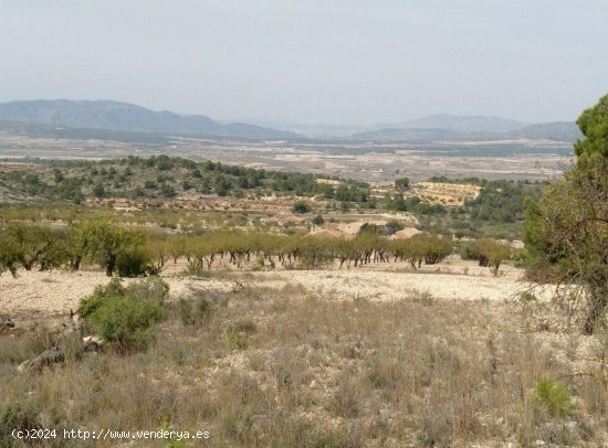 Solar en venta en Abanilla (Murcia)