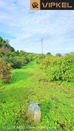 Parcela en venta en Tegueste (Tenerife)