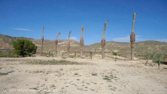 Solar en venta en Abanilla (Murcia)