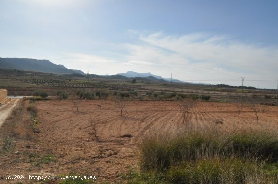 Solar en venta en Jumilla (Murcia)