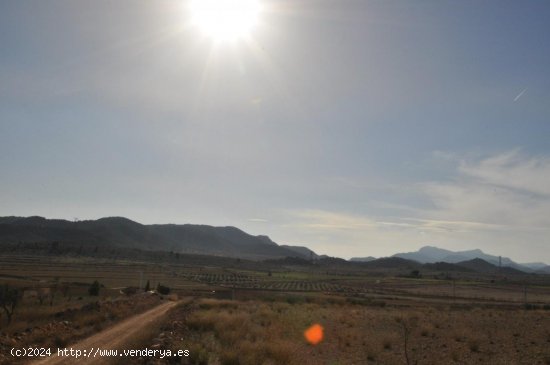 Solar en venta en Jumilla (Murcia)