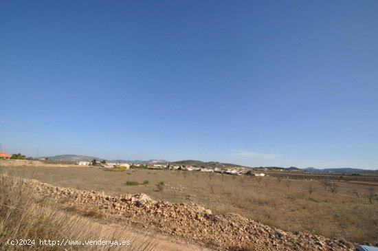 Solar en venta en Jumilla (Murcia)