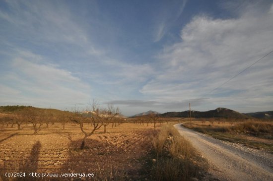 Solar en venta en Abanilla (Murcia)