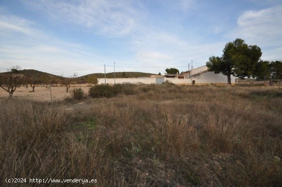 Solar en venta en Jumilla (Murcia)