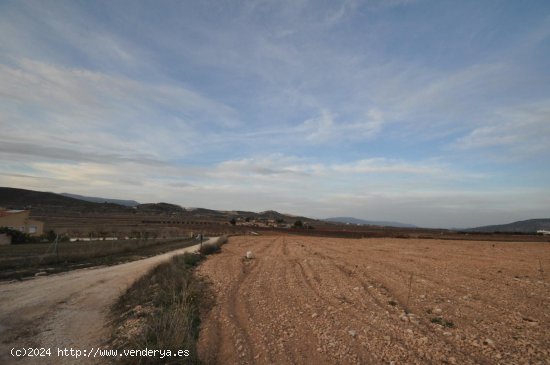 Solar en venta en Jumilla (Murcia)