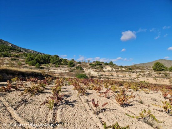 Solar en venta en La Romana (Alicante)