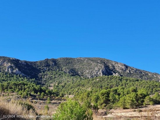 Solar en venta en La Romana (Alicante)