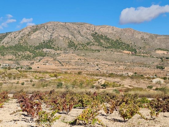 Solar en venta en La Romana (Alicante)