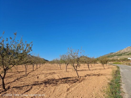 Solar en venta en La Romana (Alicante)