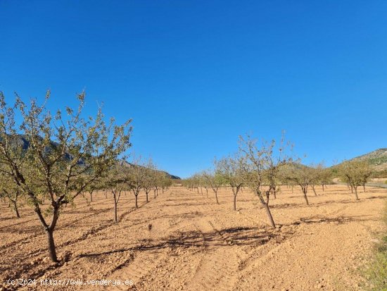 Solar en venta en La Romana (Alicante)