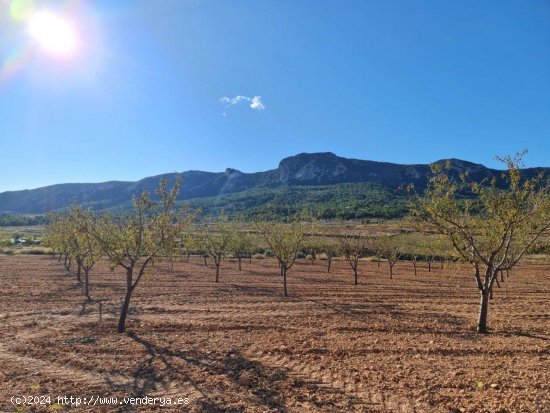 Solar en venta en La Romana (Alicante)