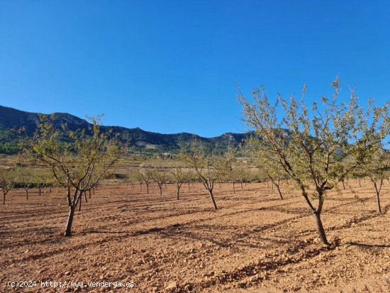 Solar en venta en La Romana (Alicante)