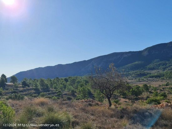 Solar en venta en La Romana (Alicante)