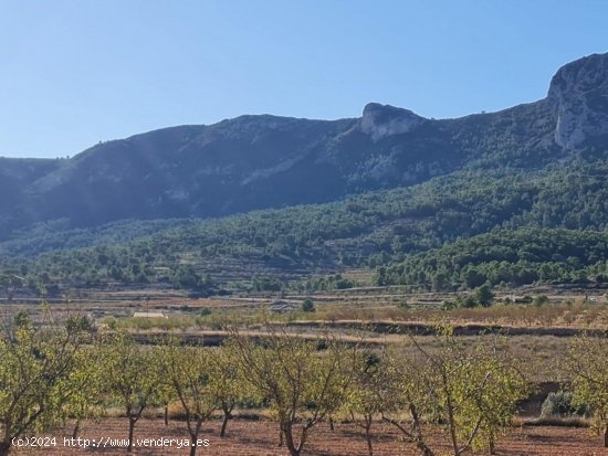 Solar en venta en La Romana (Alicante)