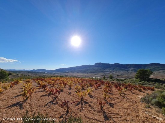 Solar en venta en La Romana (Alicante)