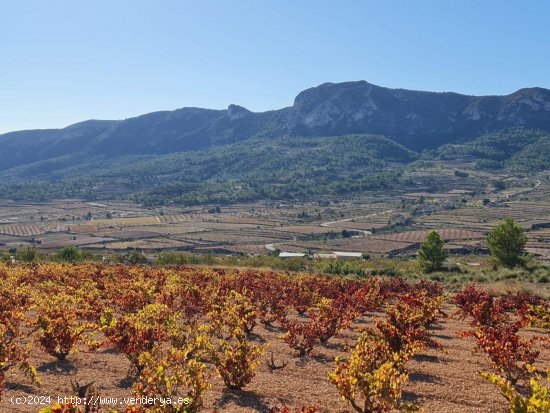 Solar en venta en La Romana (Alicante)