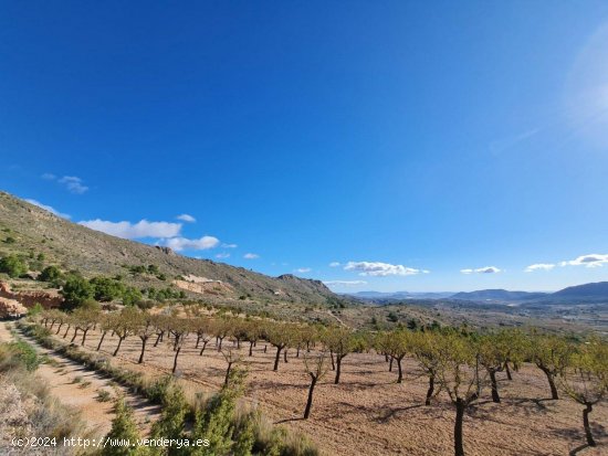 Solar en venta en La Romana (Alicante)