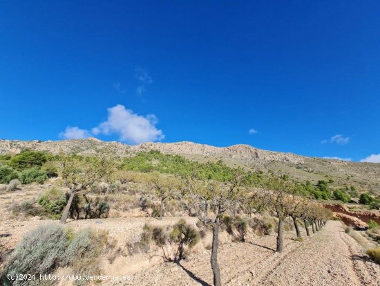 Solar en venta en La Romana (Alicante)