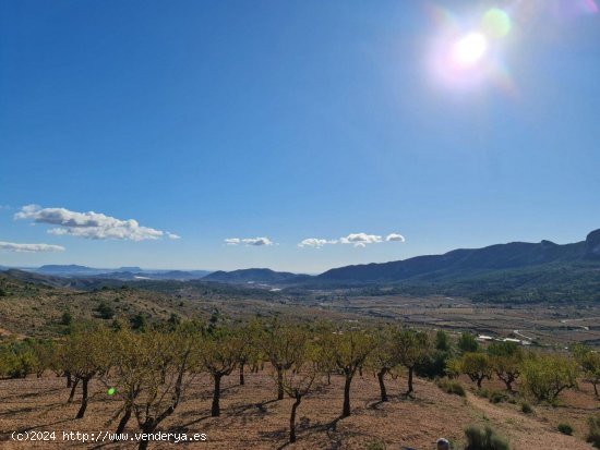 Solar en venta en La Romana (Alicante)